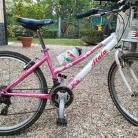Bicicletta mtb