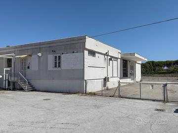 Locale/Capannone 250 mq
