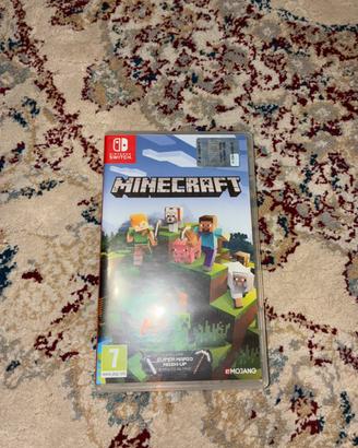 Gioco Minecraft