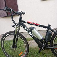 Bicicletta elettrica