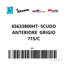 65633800HT- SCUDO ANTERIORE Grigio 7
