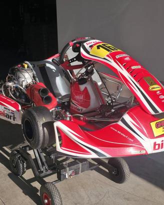 BIREL ART S19 PA TM KZ R3 NEW LINE ALFANO TILLET