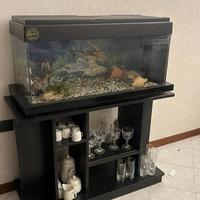 Acquario