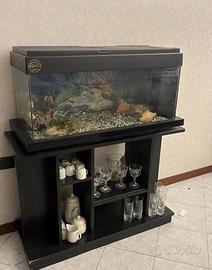Acquario