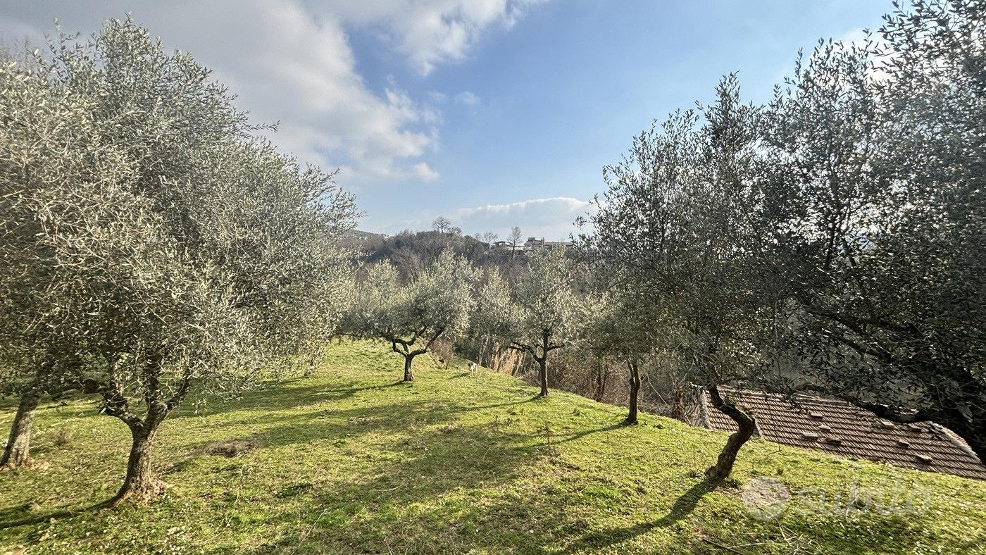 Rustico/Casale/Corte Alatri [Cod. rif 3297841VRG] - Vista 2