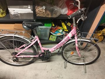 bicicletta