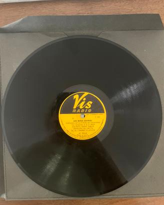 Dischi in vinile