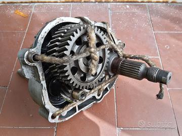 Ricambi Piaggio Zip Fast Rider