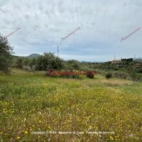 Terreno, Termini Imerese.