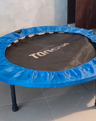 trampolino per palestra 