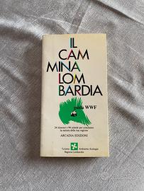 Il Cammina Lombardia