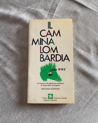 Il Cammina Lombardia