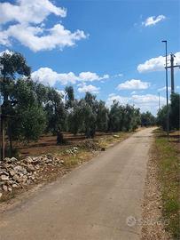 Terreno Edificabile a Bitonto