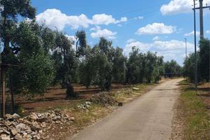 Terreno Edificabile a Bitonto