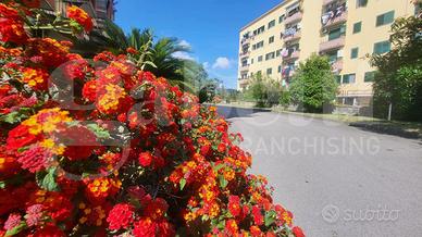 Appartamento Napoli [Cod. rif 3237234VRG]