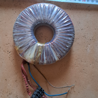 Trasformatore toroidale 12v