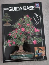 Guida su come curare i bonsai