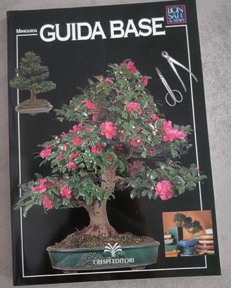 Guida su come curare i bonsai