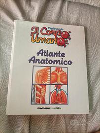 Il corpo umano atlante atomico.