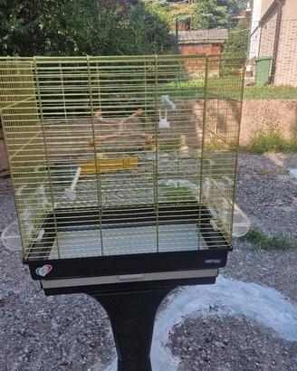 gabbia con piedistallo