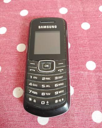 Samsung GT-E1080i 