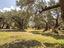 Immagine 26