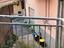 Immagine 3