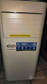 Pinguino condizionatore