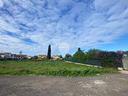 ter-agricolo-a-isola-delle-femmine