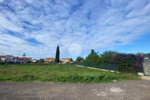 TER. AGRICOLO A ISOLA DELLE FEMMINE