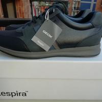 Geox scarpe eleganti uomo misura 42