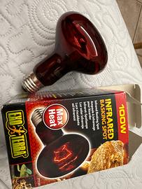 Lampadina riscaldante a infrarossi