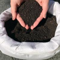 humus di lombrico biologico