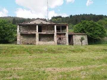 Rustico/Casale/Corte San Romano in Garfagnana