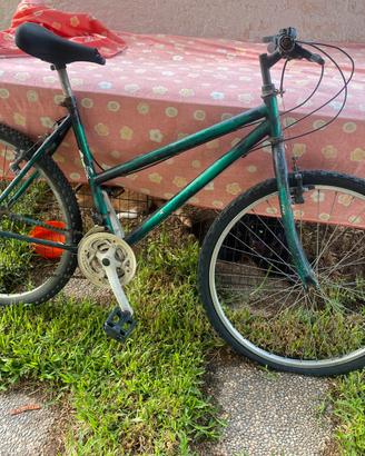 Bicicletta