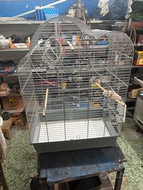 Gabbia per uccellini