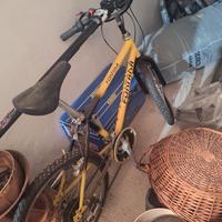 bicicletta bambino fontana