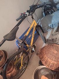 bicicletta bambino fontana