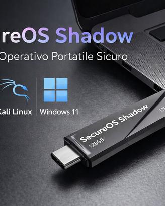 Chiavetta USB SSD 128GB con 3 OS-Live