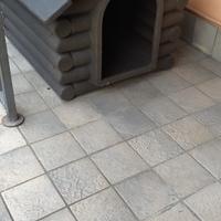 cuccia per  cane 