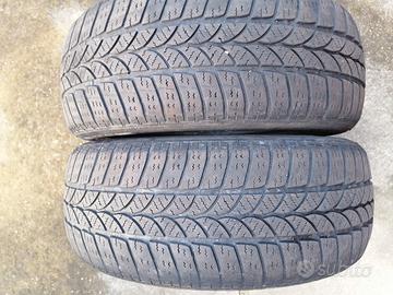 2 Ruote antineve marca Winter1 205/55R16 91H