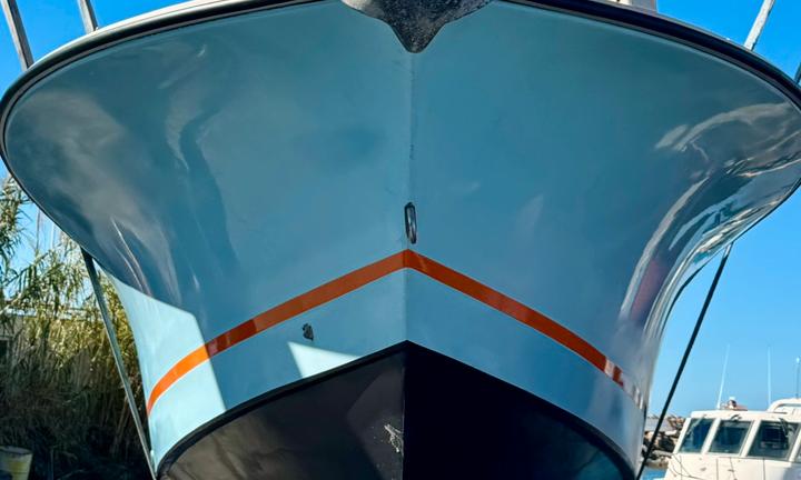 Fisherman AL25 custom con Honda 350 HP