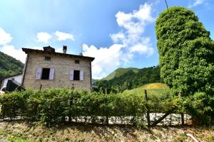 CASA SEMINDIPENDENTE A CALESTANO