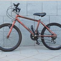 Bicicletta bambino/a ruota 25