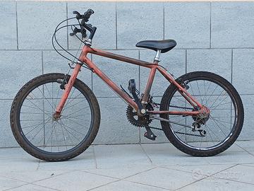 Bicicletta bambino/a ruota 25