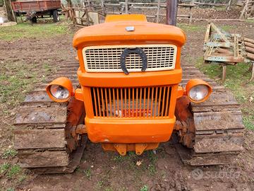 trattore cingolato fiat 605 montagna 