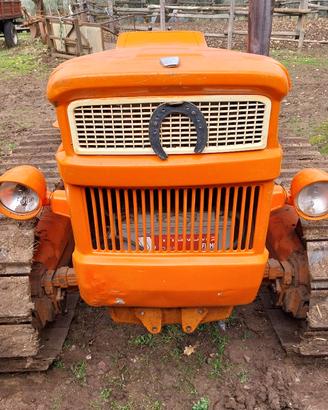 trattore cingolato fiat 605 montagna 