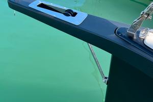 delfiniera in carbonio