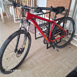 Mountain bike
