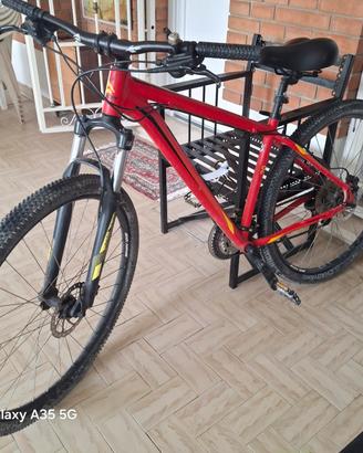 Mountain bike
